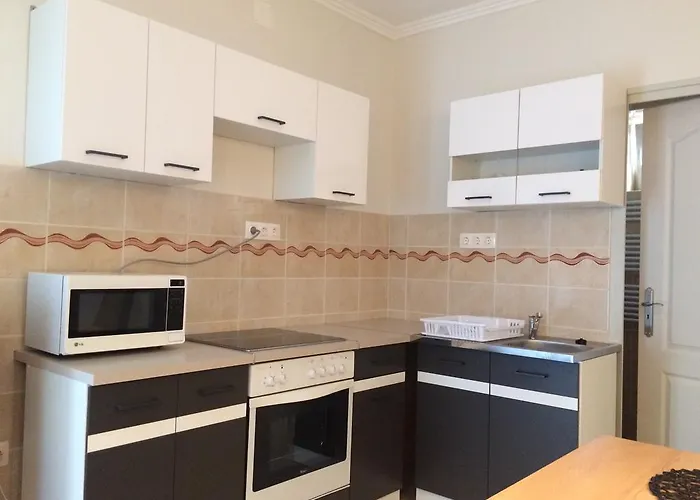 Baro Berg Apartman *